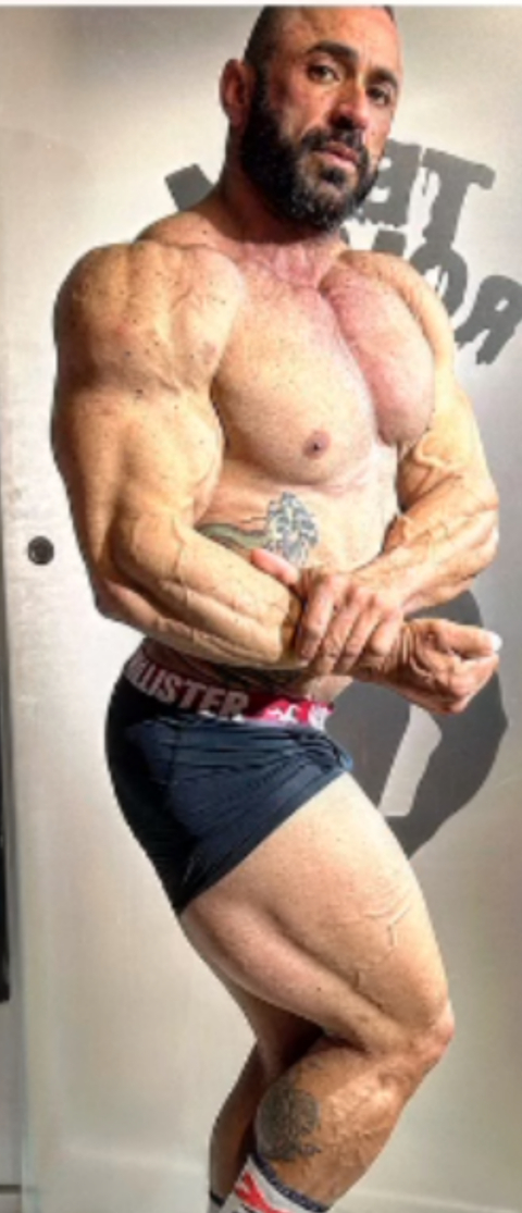 assis_bull avatar