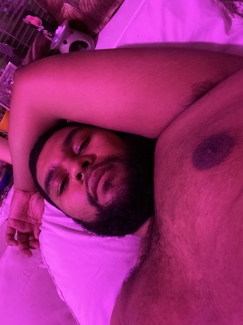 domincanbearxxx avatar