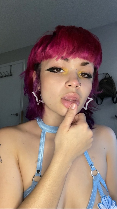 lemontheshark avatar
