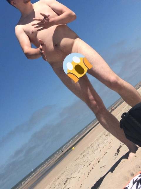nudistfries avatar