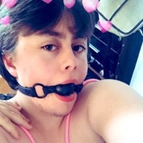 puptrans avatar
